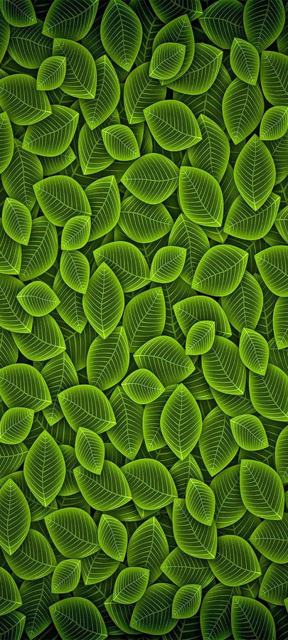 Vivo Y20 Green Leaf Pattern Wallpaper