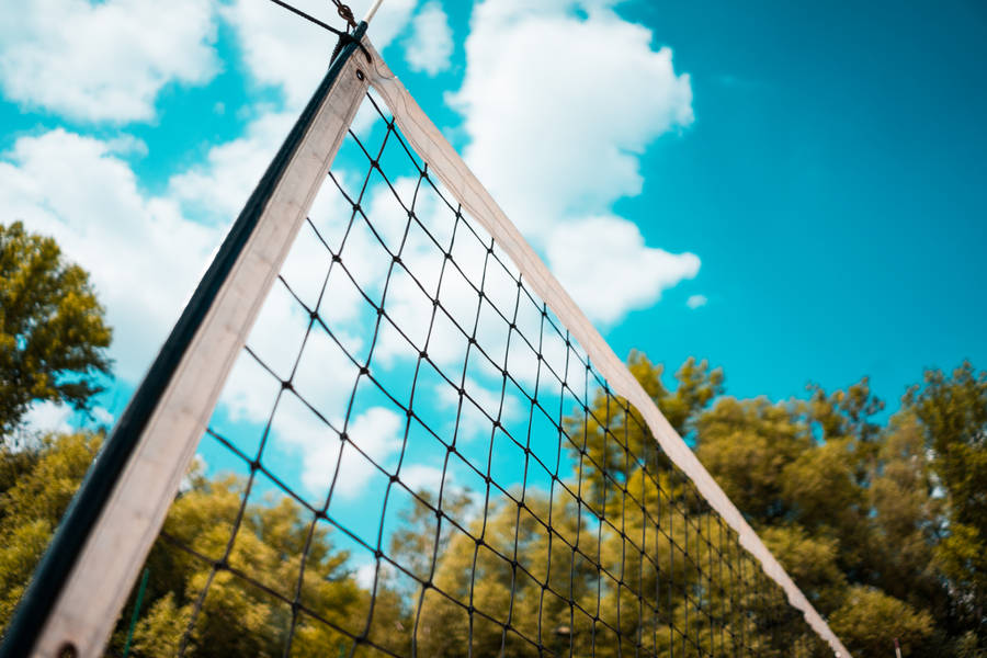 Volleyball 4k Net Wallpaper