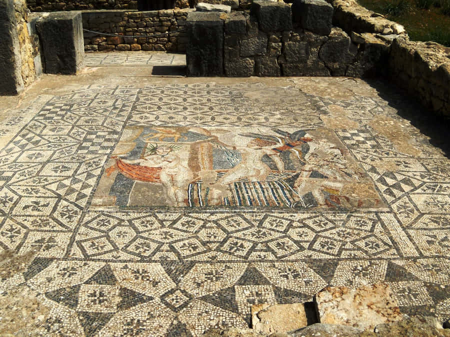 Volubilis Intricate Stone Floor Wallpaper