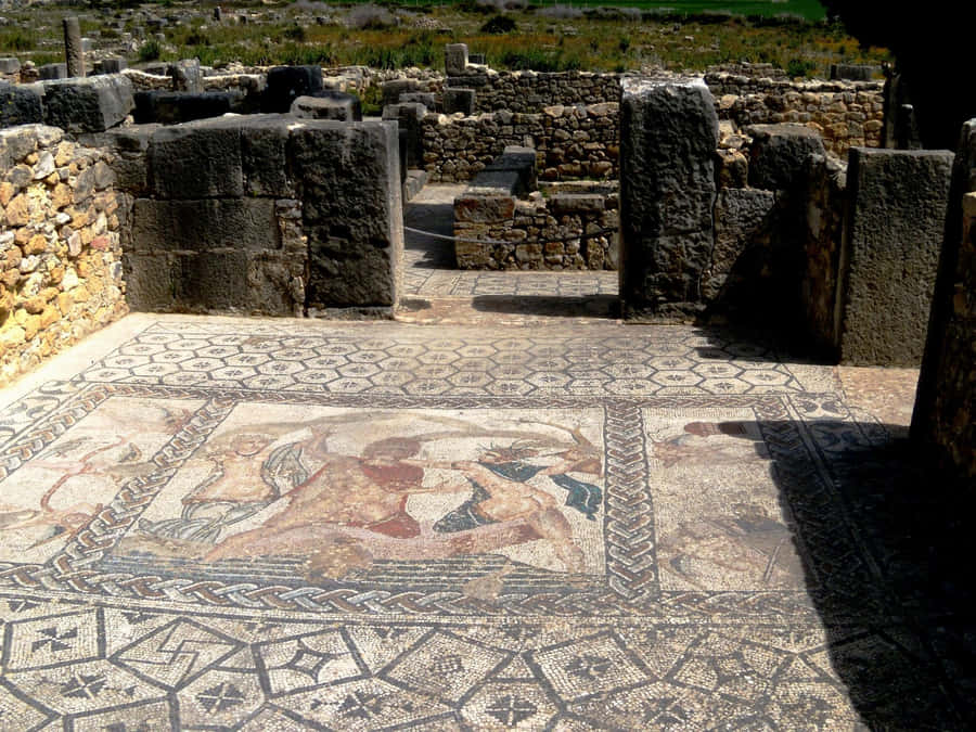 Volubilis Ruins Floor Wallpaper