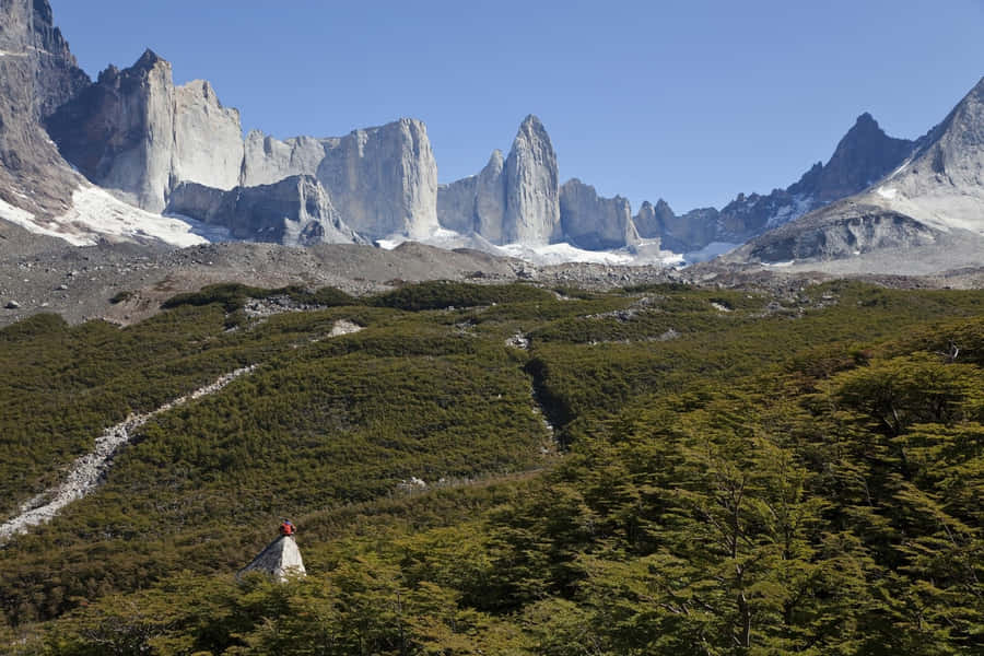 W-trek Of Torres Del Paine National Park Wallpaper