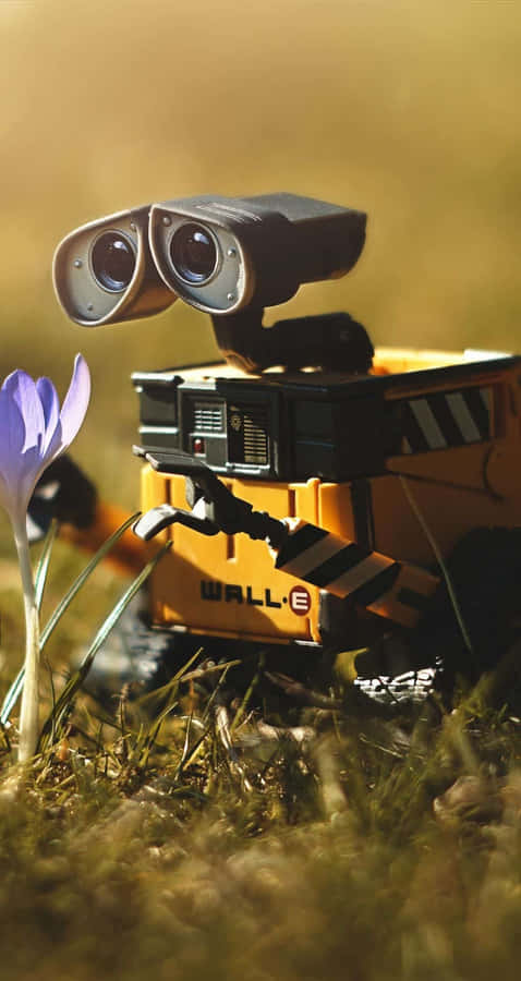 Wall E Iphone Picking Flower Wallpaper