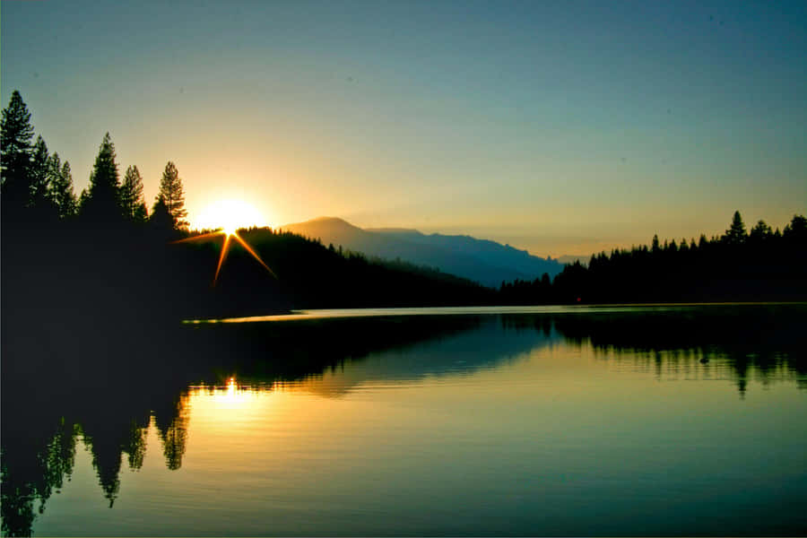 Warming Up In The Beautiful Sunshine Wallpaper