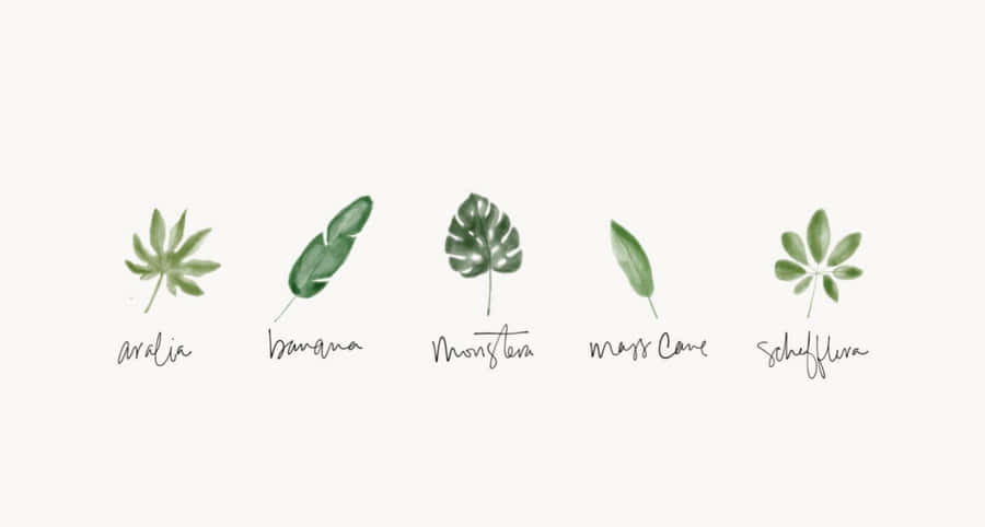 Watercolor Tropical Leaves Minimalist Plant Desktop Wallpaper
