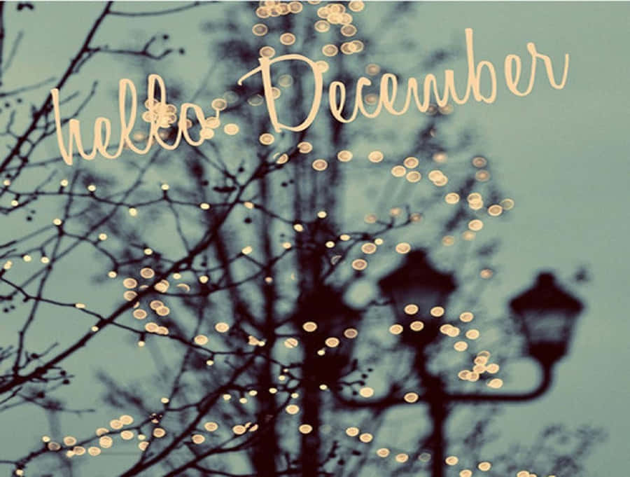 Welcome December – A Season Of Wonder And Joy Wallpaper