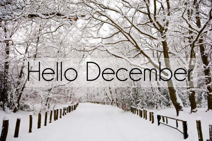 “welcome December, A Time Of Joy And Celebration!” Wallpaper