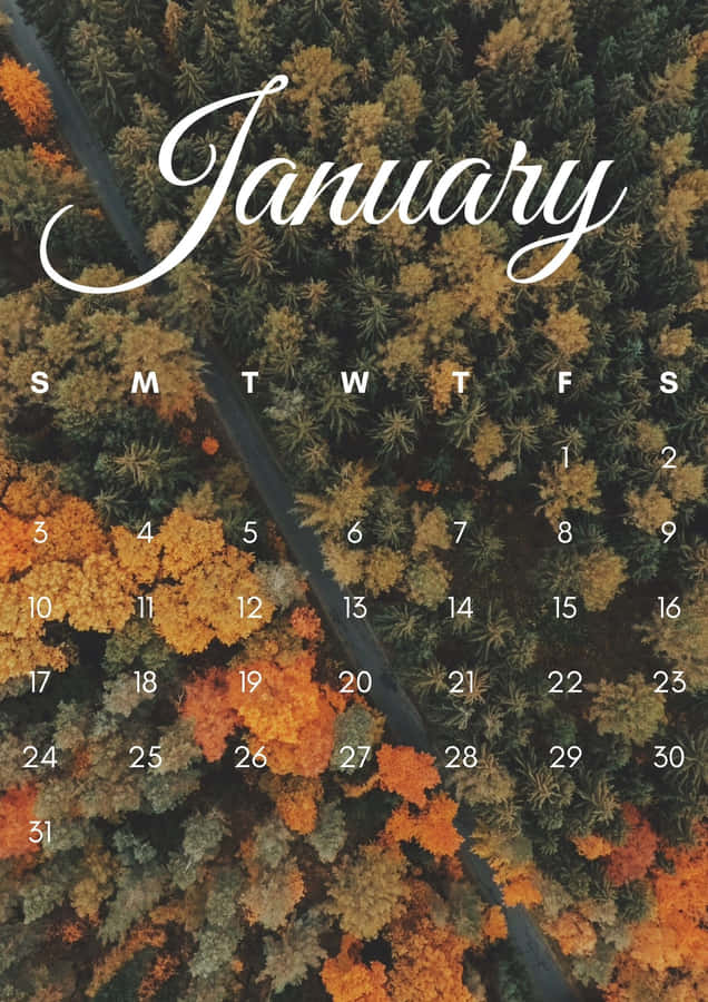 Welcome January With A Smile Wallpaper
