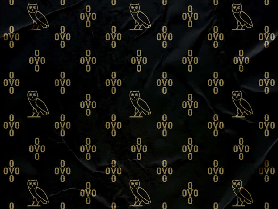 Welcome To Ovoxo, The Ultimate Music Destination Wallpaper