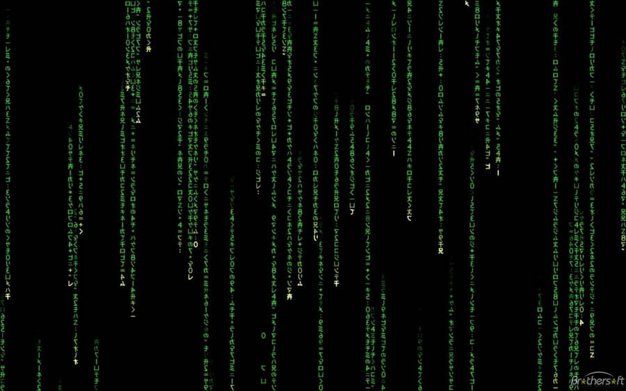 Welcome To The Matrix Wallpaper