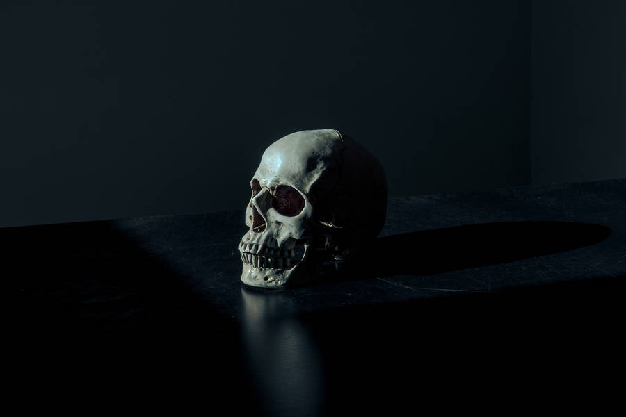 White And Black Skull Figurine On Black Surface Wallpaper
