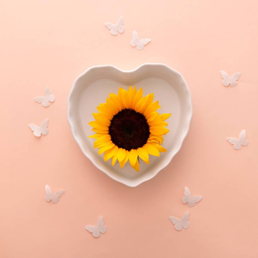 White Cup Sunflower Aesthetic Wallpaper