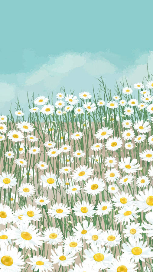 White Daisy Garden Wallpaper