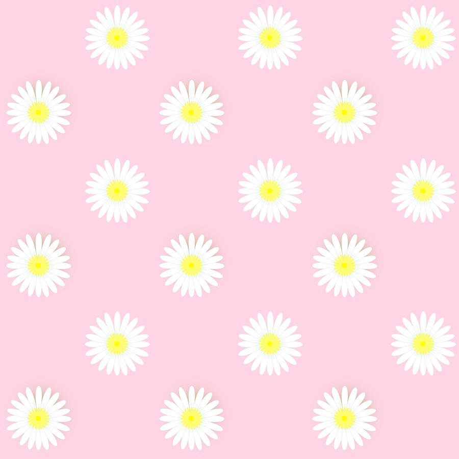 White Daisy Patterned In Pastel Pink Wallpaper