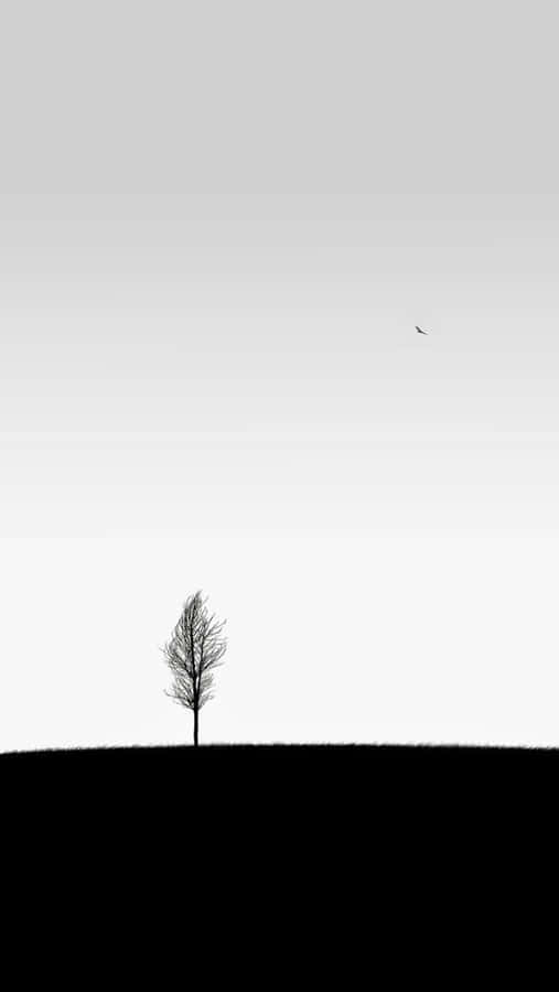 White Minimalist Tree Iphone Wallpaper