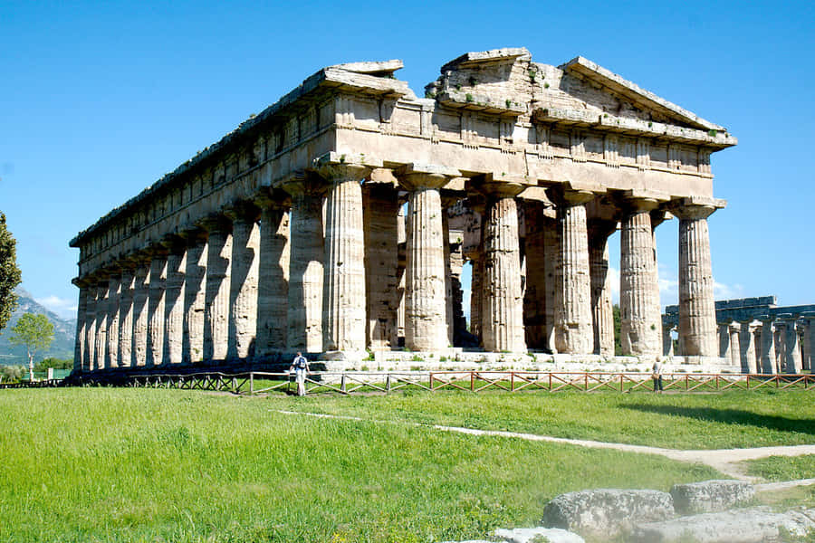 White Paestum Sunny Wallpaper