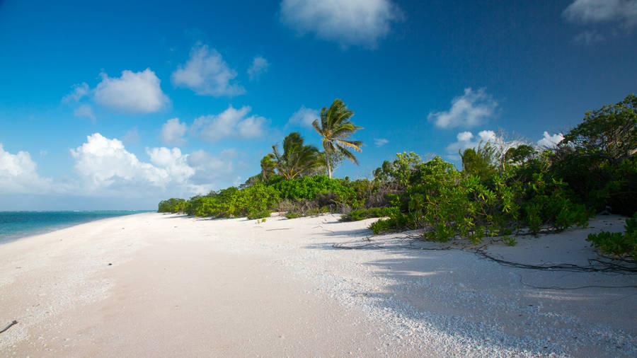 White Sandy Beach In Marshall Islands Wallpaper