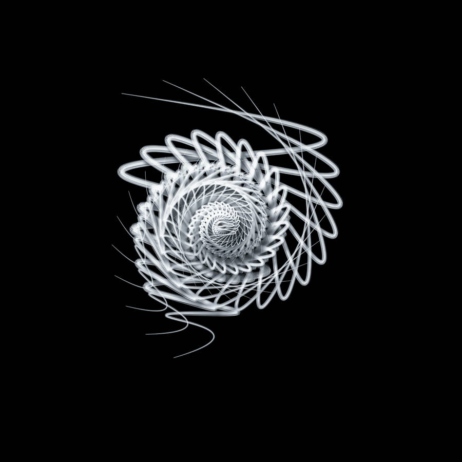 White Swirl Black Art Wallpaper