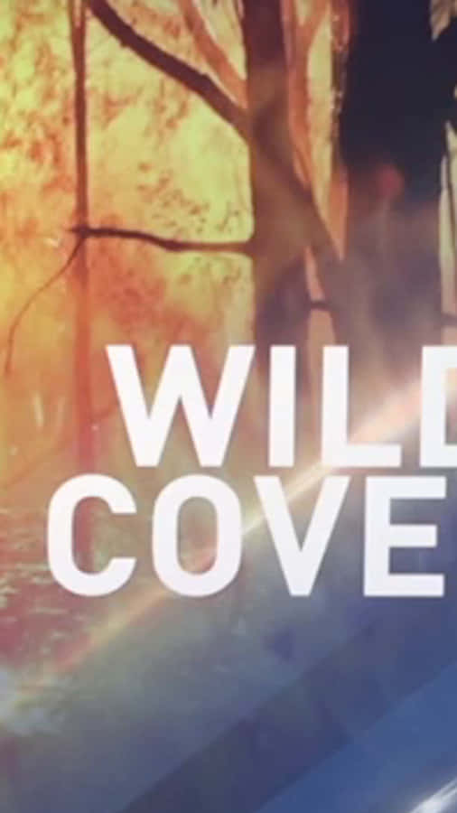 Wild Covers - A Forest In The Background Wallpaper