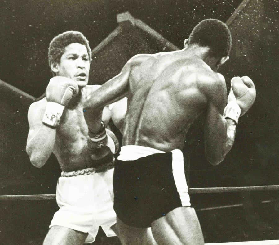 Wilfred Benítez Punch Colombian Antonio Cervantes Wallpaper