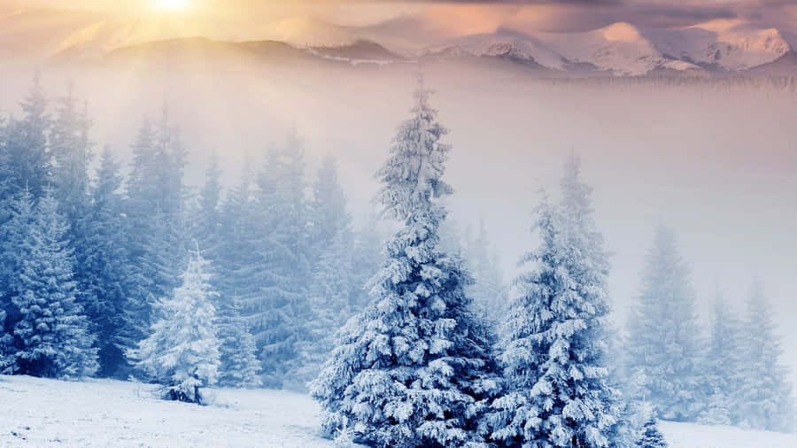 Winter Beauty In The Mountains Wallpaper