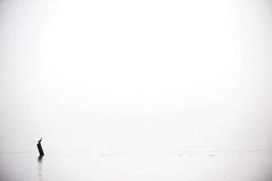 Witness The Beauty Of A Majestic Wide Open Sea Wallpaper