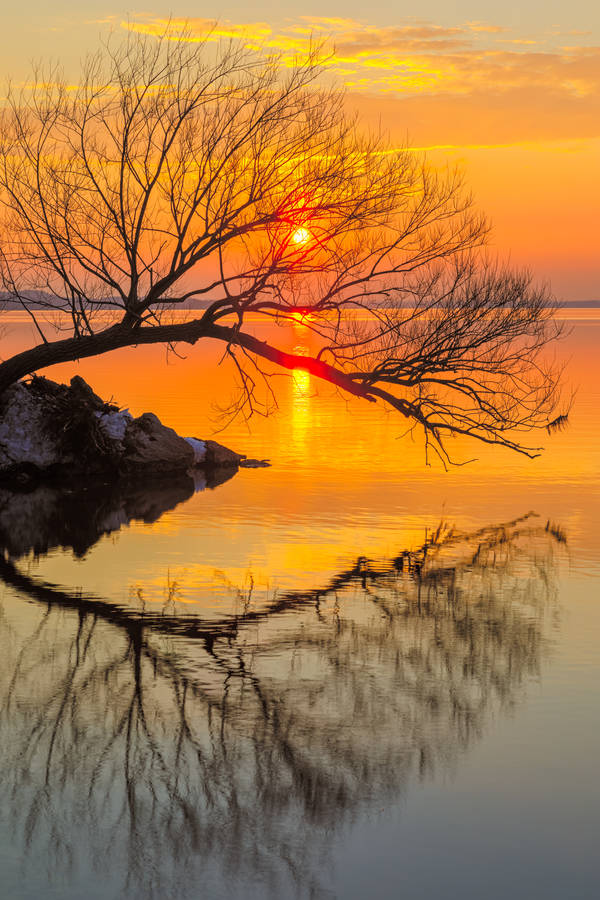 Witnessing Sunset In Madison Wallpaper