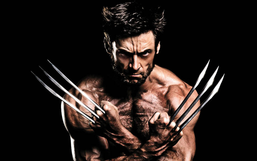 Wolverine Revealed His Iconic Adamantium Claws Wallpaper