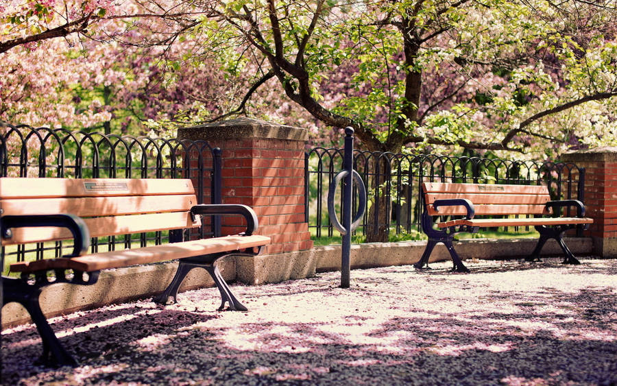 Wooden Park Benches Wallpaper