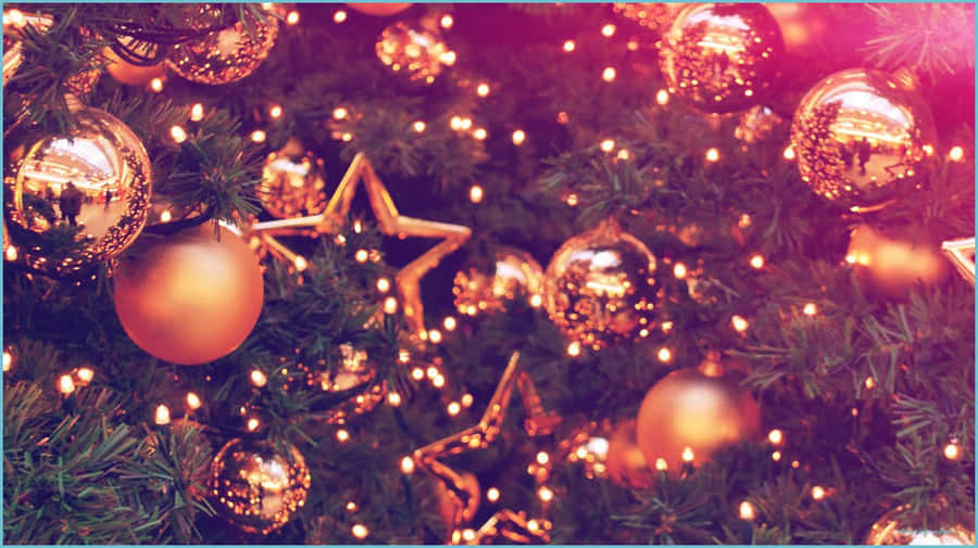 Work, Play, And Create With The Powerful Vsco Laptop Wallpaper