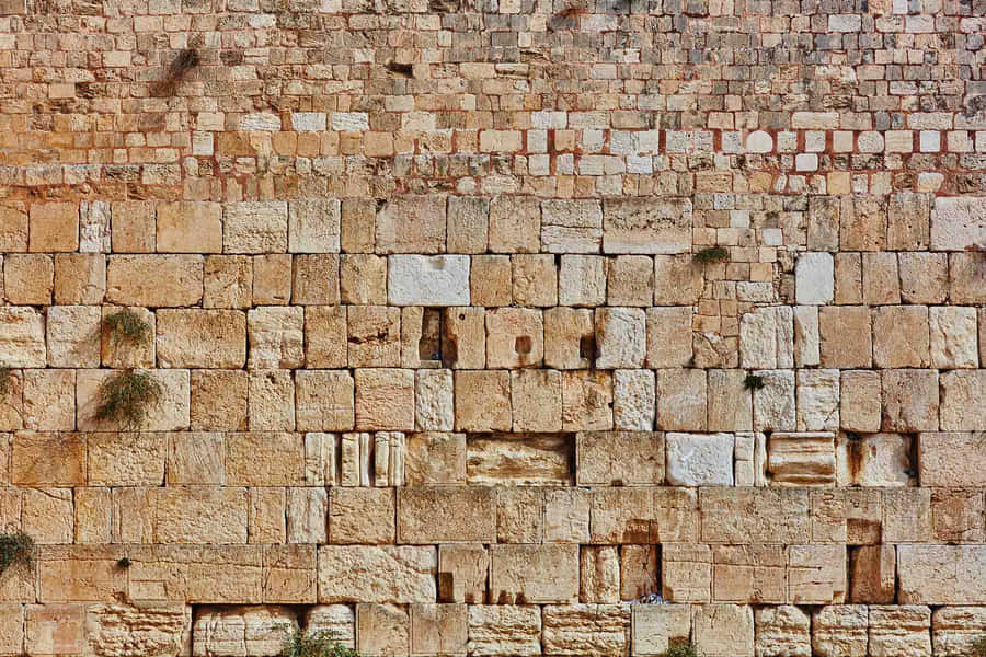 World May Know Western Wailing Wall Wallpaper