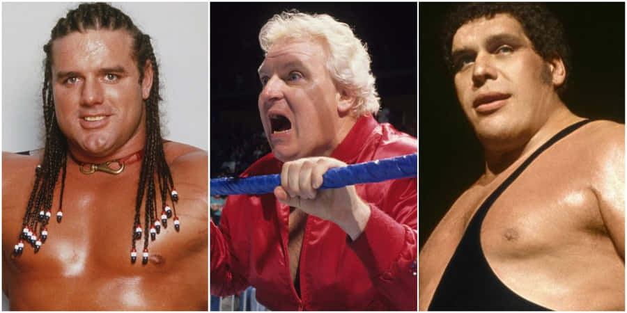 Wrestling Legends Collage Wallpaper