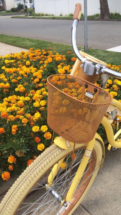Yellow Aesthetic Bike Wallpaper