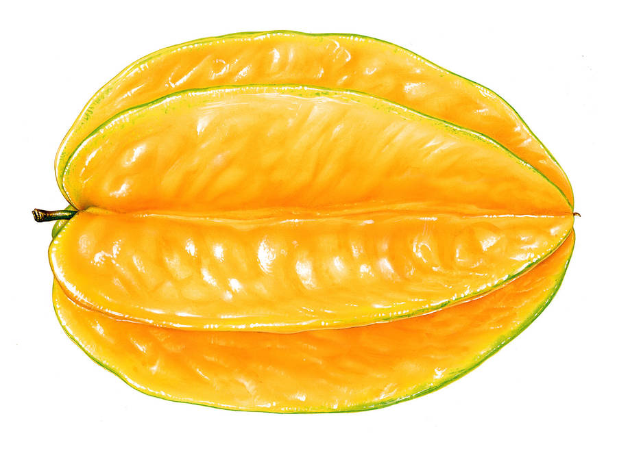 Yellow Orange Star Fruit Wallpaper