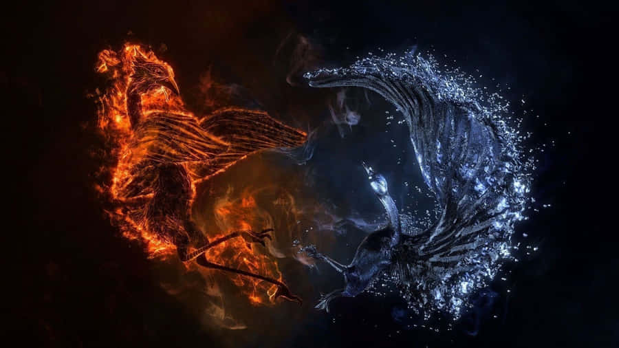 Yin Yang 4k Fire And Ice Phoenixes Wallpaper