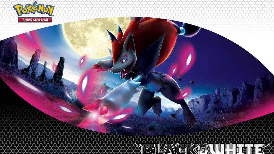 Zoroark In Pokémon Trading Card Game Wallpaper