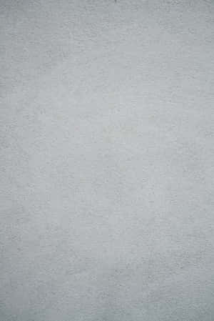 1. Cute Grey, Along For The Ride Wallpaper