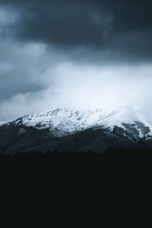 1000x1500 Vertical Wallpaper. Best Free Moody, Dark, Flower Wallpaper