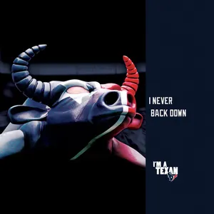 1024x1024 Houston Texans Wallpaper 14 - 1024 X 1024 Wallpaper