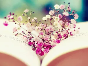 1024x768 Booknerd Image Book And Flowers, Wallpaper Hd Wallpaper Wallpaper