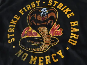 1024x768 Cobra Kai Wallpaper Wallpaper