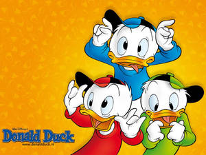 1024x768 Donald Duck Wallpaper Wallpaper