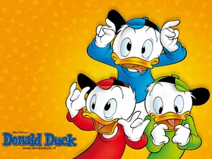 1024x768 Donald Duck Wallpaper Wallpaper
