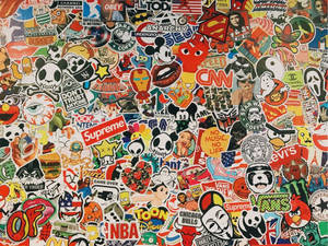 1024x768 Vsco Wallpaper