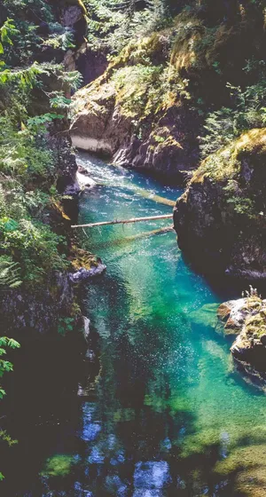 1028x1920 Free Spring Iphone Wallpapers Wallpaper