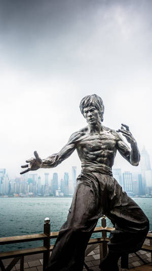 1080x1920 Free Download Bruce Lee Wallpaper 1080x1920 For Windows 7 Wtg0011515 Wallpaper