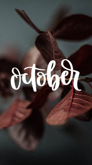 1080x1920 Let's Do What We Love- October Tech Wallpaper Wallpaper