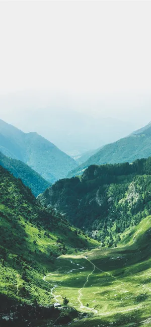 1125x2436 Vertical Wallpaper Iphone X Wallpaper Free Download Wallpaper