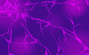 1131x707 Cracked Screen Wallpaper Purple And Pink Wallpaper