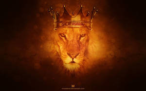 1131x707 Galatasaray Lion Wallpaper Wallpaper