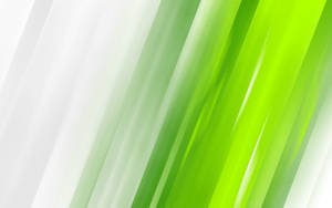 1280x800 Light Green Wallpaper Wallpaper